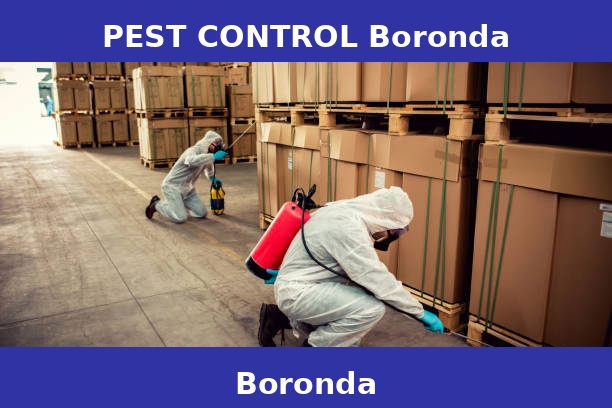 PEST CONTROL Boronda